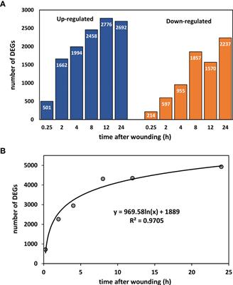 Wounding rapidly alters transcription factor expression, hormonal signaling, and phenolic compound metabolism in harvested sugarbeet roots